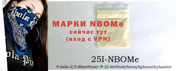 гашик Алексин