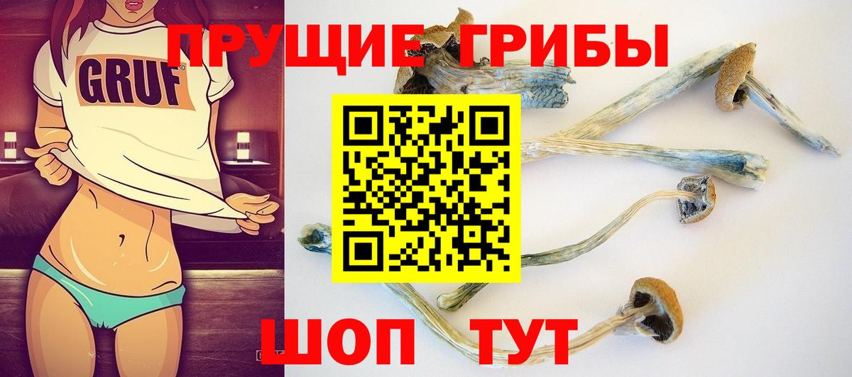 Псилоцибиновые грибы Psilocybe  Вход с VPN  Галлюциногенные грибы Magic Shrooms  Южно-Сахалинск 